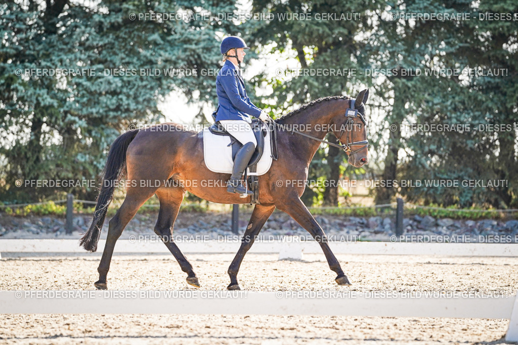 DSC09270 | Pferdegrafie