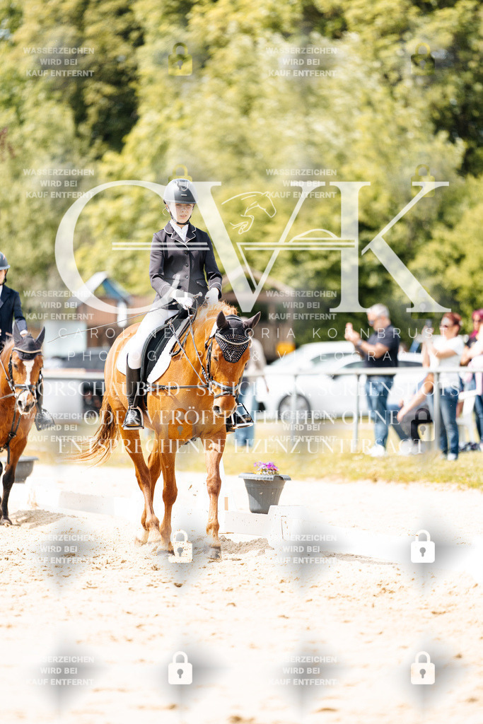 CK902404 | Turnierfotografie Pferdefotografie Trier Rheinland-Pfalz Pferdesport Reitsport Tierfotografie Sportfotografie Pferdevideo Pferdevideografie Equestrianvideography equestrianphotography  - Realisiert mit Pictrs.com