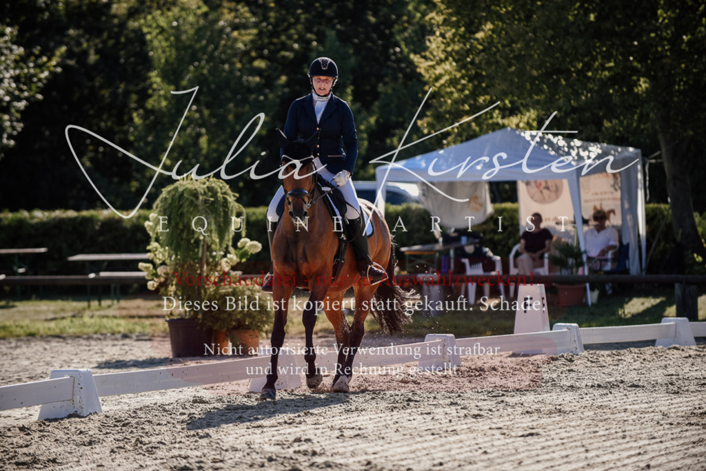 DSC_0404 | Pferde- und Turnierfotografie in Westsachsen. Pferdeportraits, Auftragszeichnungen und intuitive Kunst.