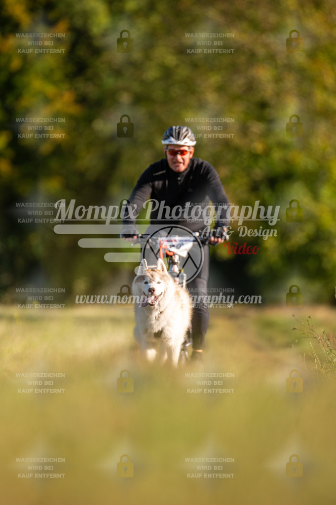 CDLBDB_15_10_2023_Dimanche-183 | PayLife