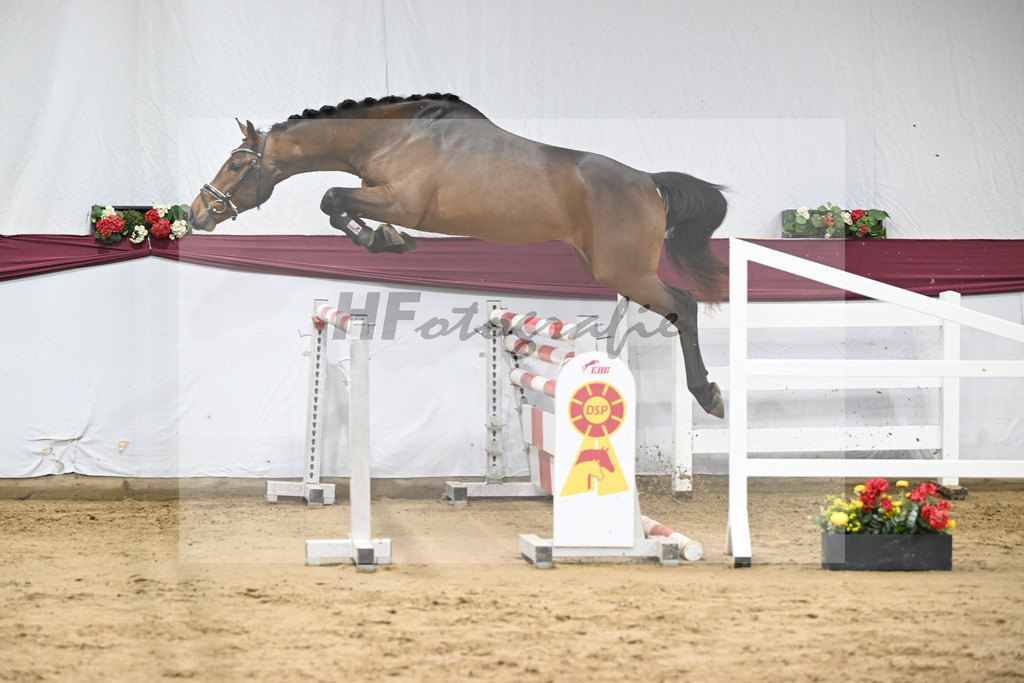 Kat-Nr. 90 Million Dollar x Cash and Carry_Ralf Laubheimer_47253120 | hf-fotografie - Realisiert mit Pictrs.com