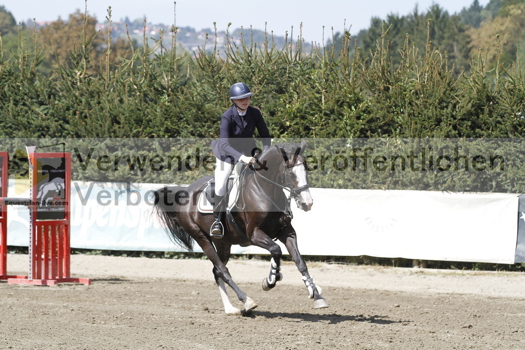 _MG_6463 | equestrian-live-com