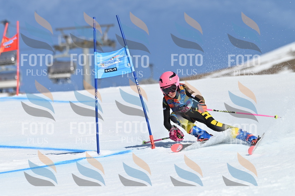 BGV_8536 | holidayphoto