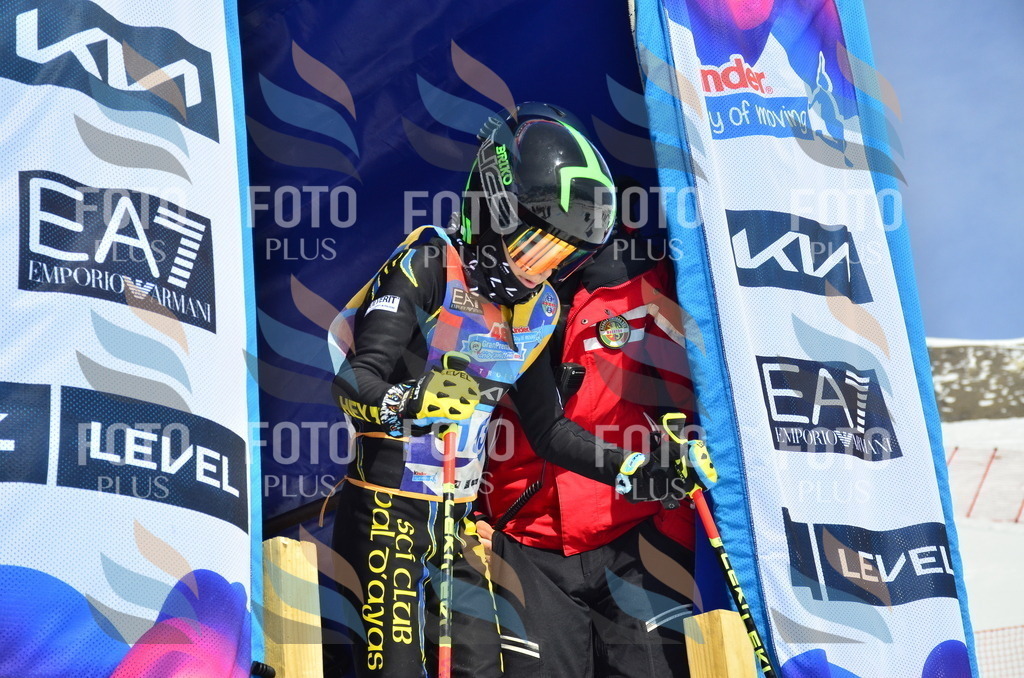 _ELE1311 | holidayphoto