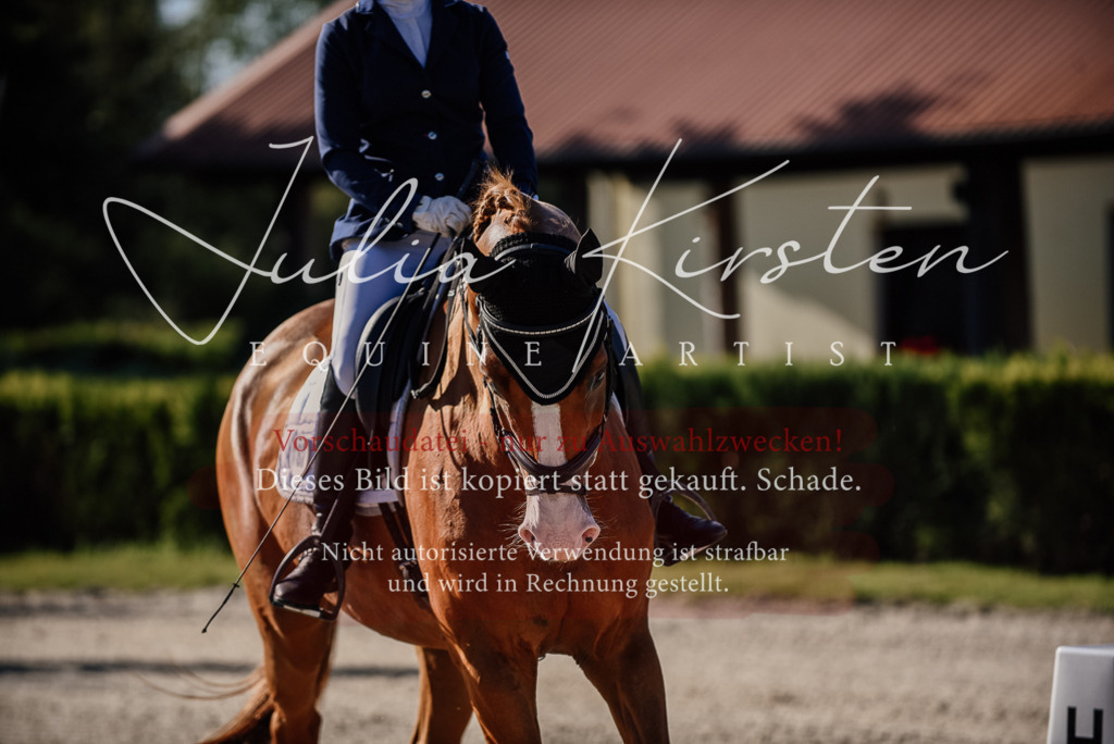 DSC_0468 | Pferde- und Turnierfotografie in Westsachsen. Pferdeportraits, Auftragszeichnungen und intuitive Kunst.