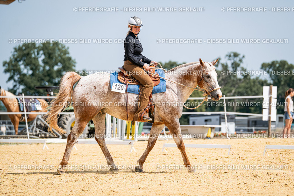 DSC00547 | Pferdegrafie