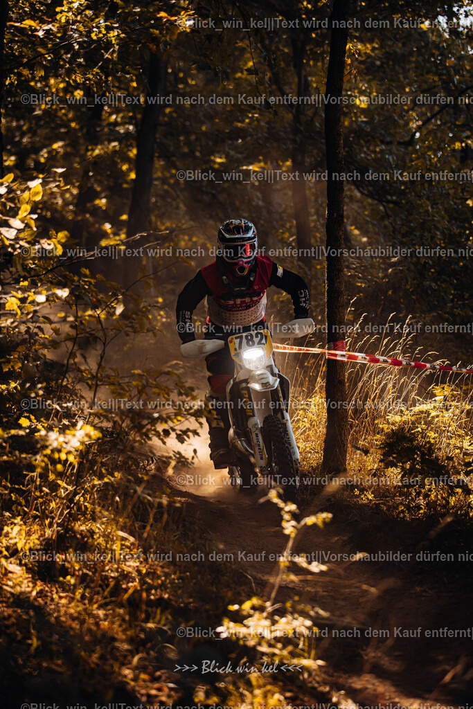 E68A6460 | blick_win_kel