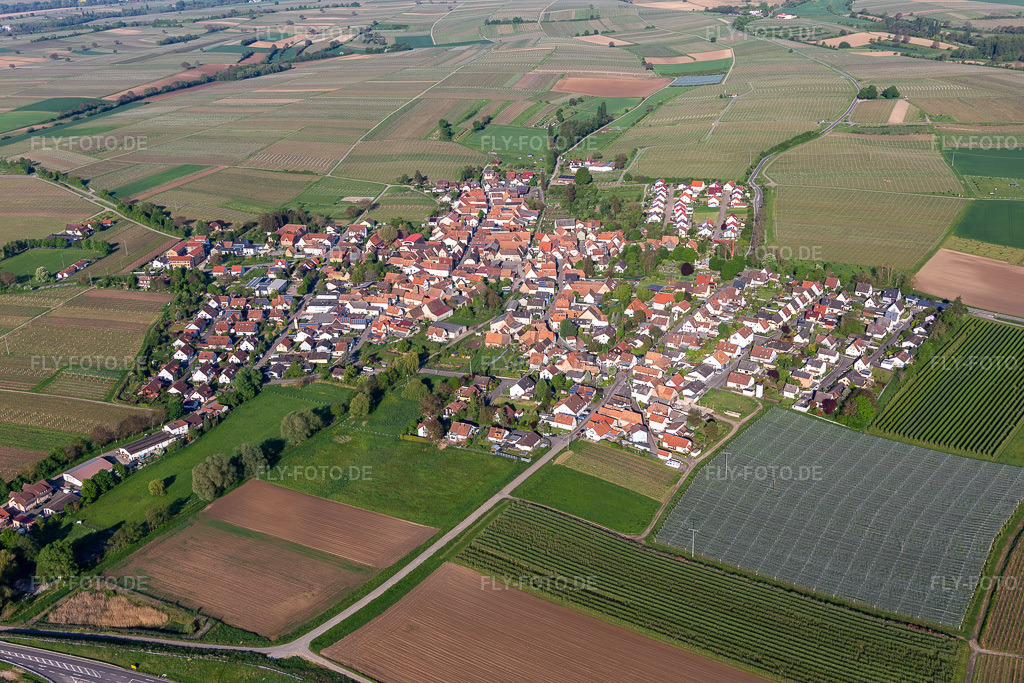 Luftbild:  in Impflingen im Bundesland Rheinland-Pfalz in Deutschland. – Foto: IMG_131366.jpg vom 07.05.2022 durch Werner Riehm/FLY-FOTO.de – Auflösung des Originals: 5472 x 3648 px – Impflingen - Südliche Weinstraße