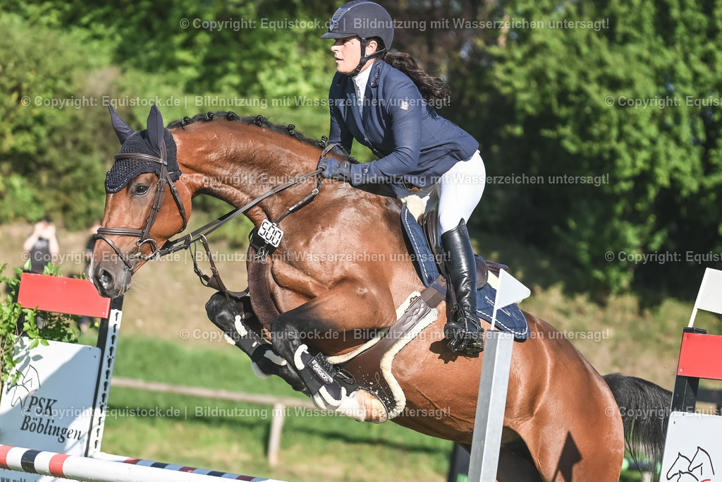 20230908_14-15_Springpferde-A_0064 | equistock