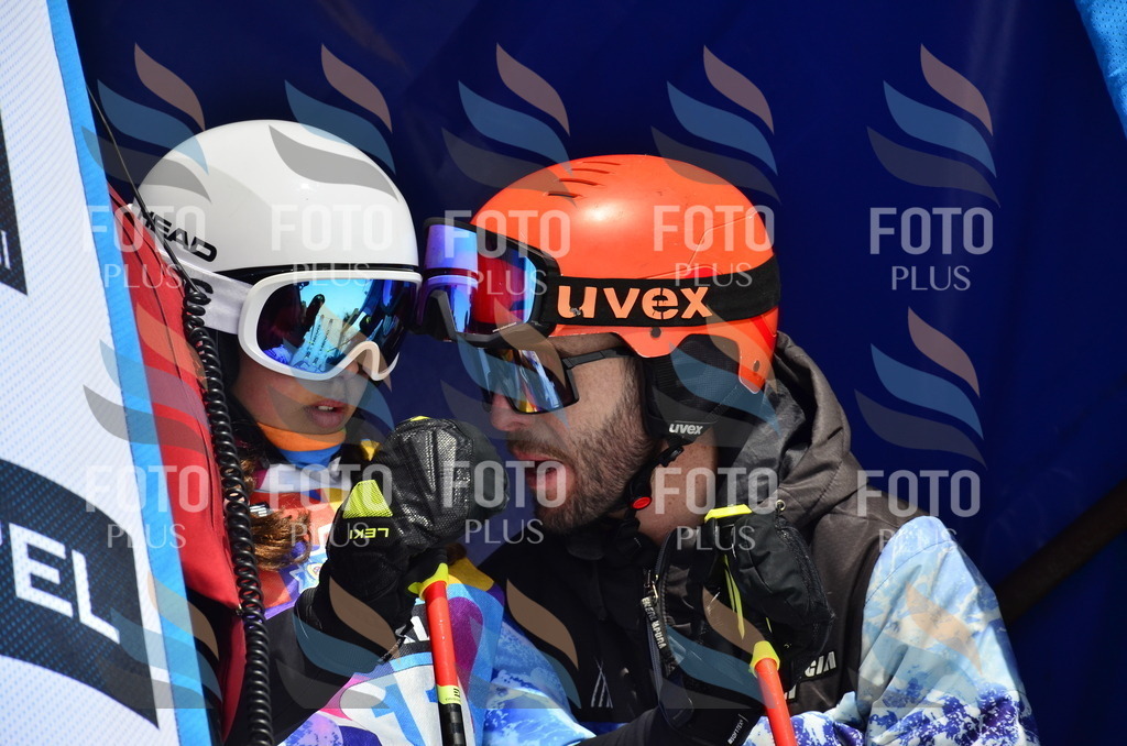 _ELE0644 | holidayphoto