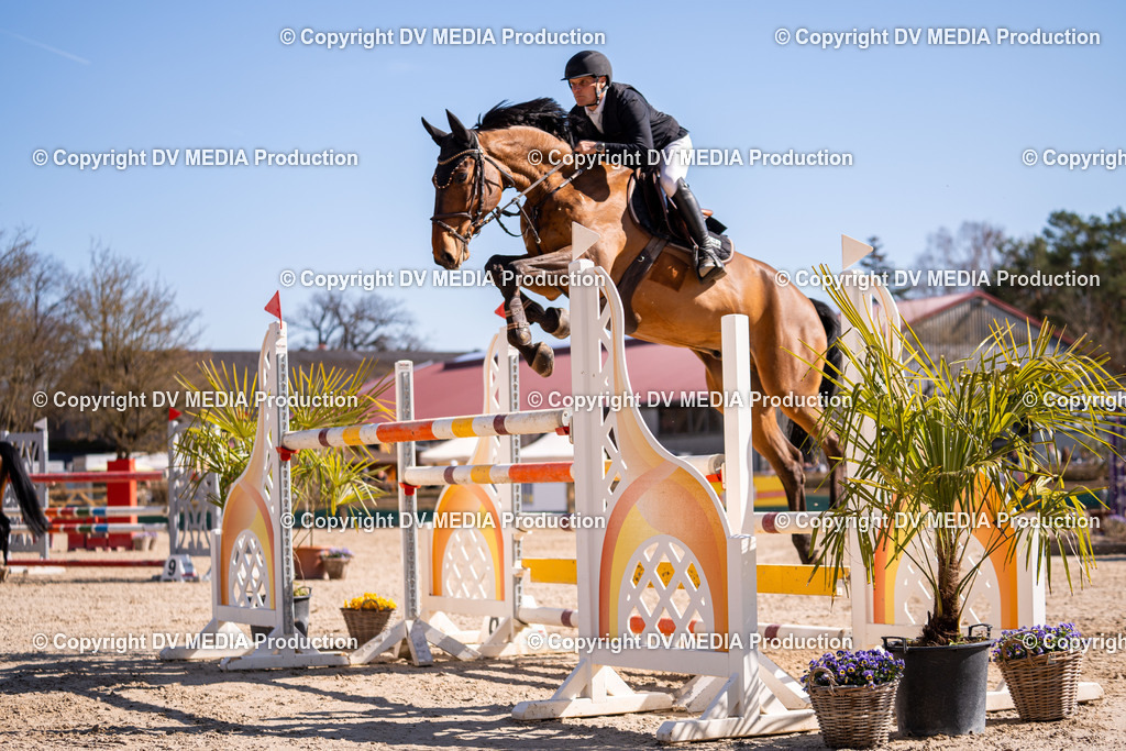 Kranichstein Tag 2-846 | dv-media-shop - Realisiert mit Pictrs.com