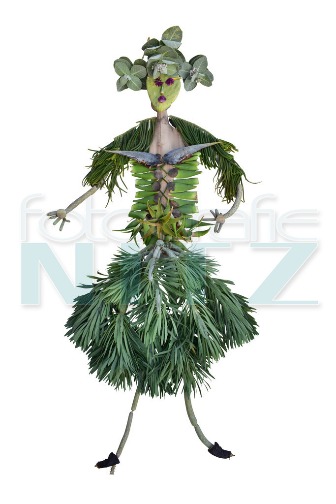 11 | Nitz Fotografie aus Montabaur bietet Ihnen hier die Möglichkeit Bilder auszusuchen und zu bestellen. 