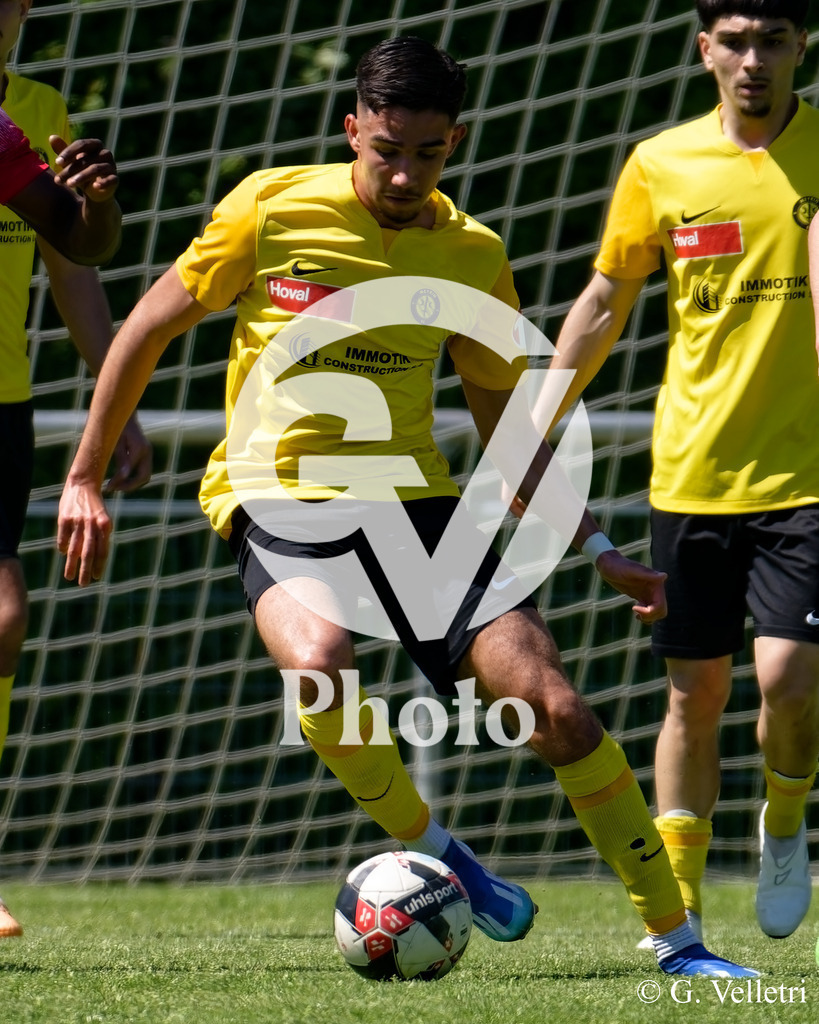 DSC_7425 | Velletri Photo