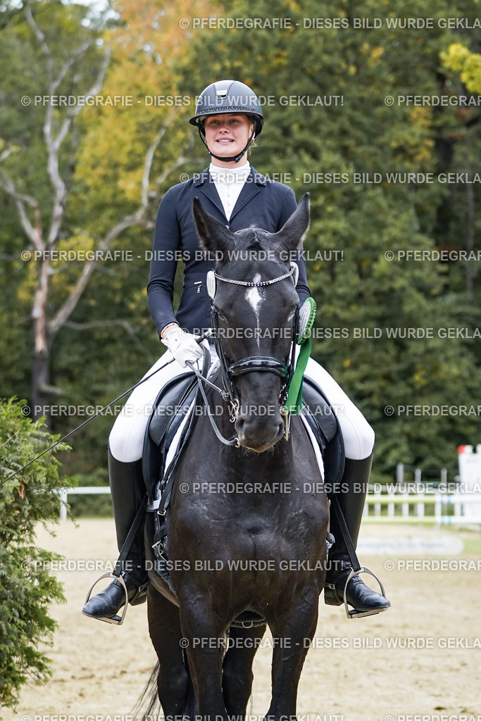 DSC02615 | Pferdegrafie