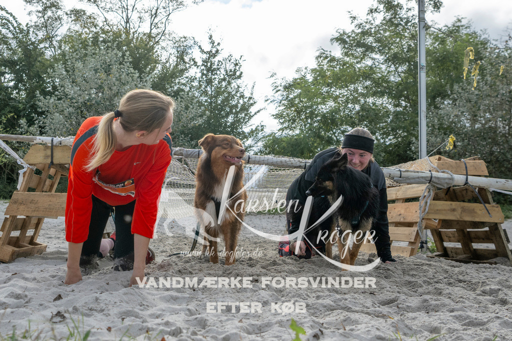 1150_ZZ99391 | kk-dogfotos