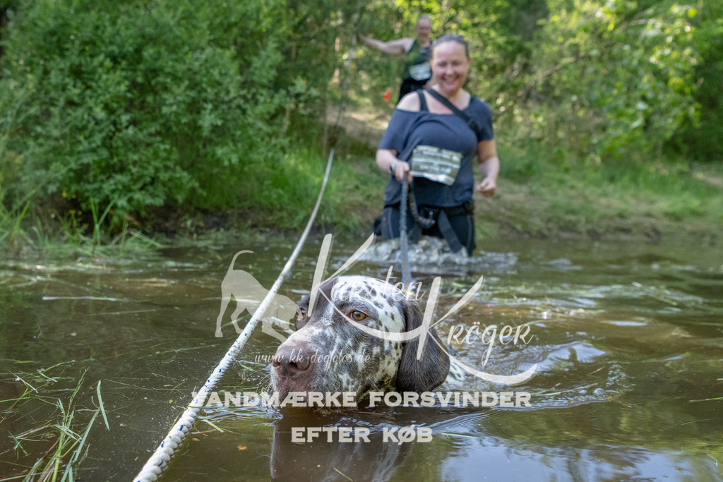 1700DKK991514 | kk-dogfotos