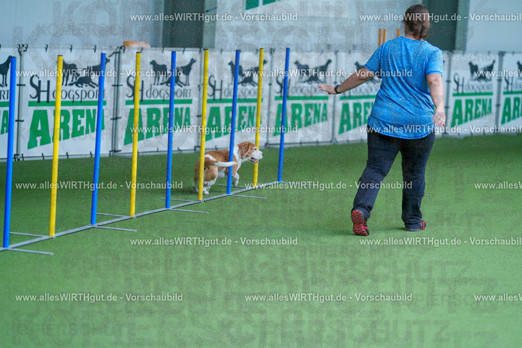 @allesWIRTHgut_Tierfotografie - www.allesWIRTHgut.de - 2604261221-7R500770 | Professionelle Tierfotografie in Mönchengladbach von Daniel Wirth (allesWIRTHgut). Liebevolle & natürliche Bilder von Hunden & Katzen für unvergessliche Erinnerungen.