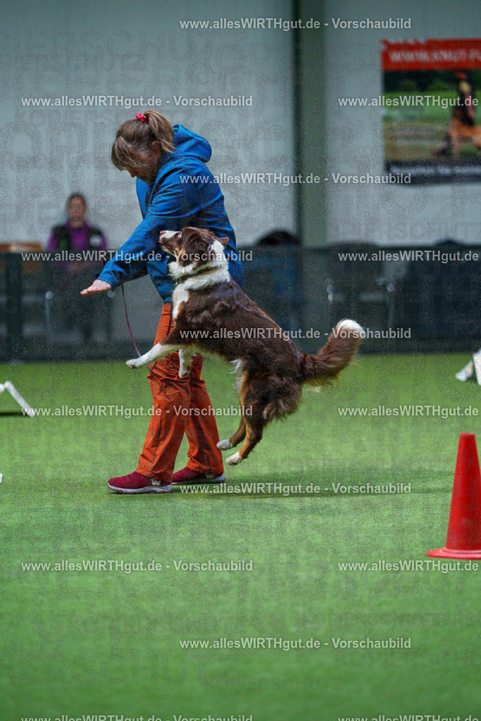 7R502898 | Professionelle Tierfotografie in Mönchengladbach von Daniel Wirth (allesWIRTHgut). Liebevolle & natürliche Bilder von Hunden & Katzen für unvergessliche Erinnerungen.