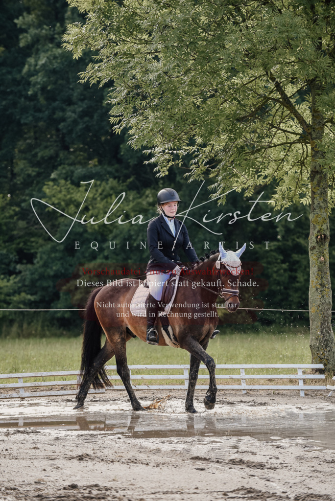 DSC_8113 | Pferde- und Turnierfotografie in Westsachsen. Pferdeportraits, Auftragszeichnungen und intuitive Kunst.