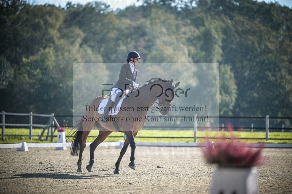 DOS_0096 | Entdecke hochwertige Reitturnierfotos von Foto Oger. Professionell, emotional und authentisch – jetzt Lieblingsmomente im Shop bestellen.Deutschlandweite Turnierfotografie. - Realisiert mit Pictrs.com
