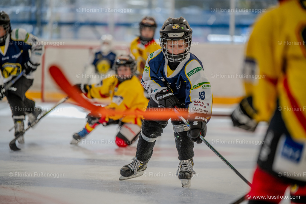 DSC_0974 | "Fussifoto.com – Ihr Ansprechpartner für hochwertige Fotografie! Entdecken Sie kreative Bilder und professionelle Dienstleistungen. Kontaktieren Sie uns für Ihre Projekte!"