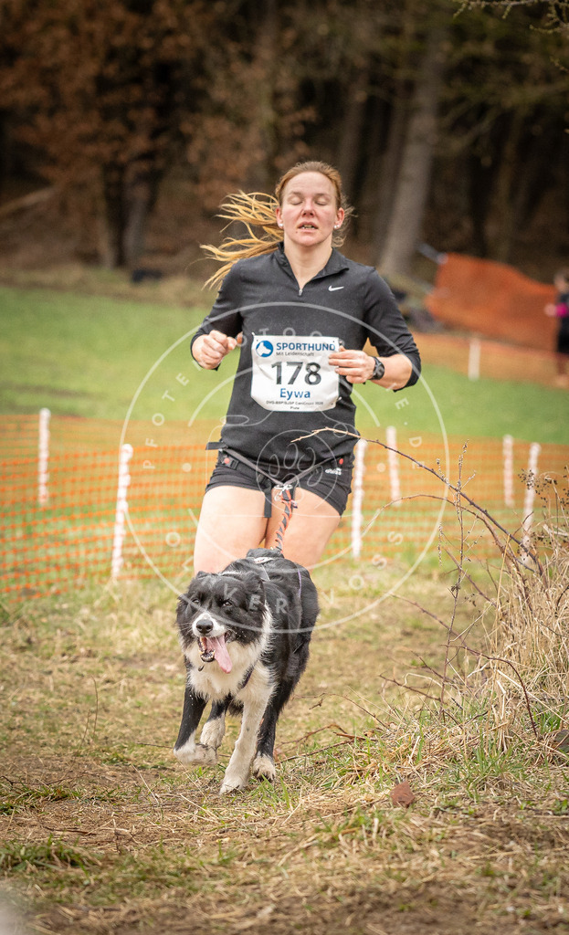 DV3A2465 | Hundefotografie, Tierfotograf, Pfotenfotografie, Fotoshooting Hund, Hunde Portrait, Hundesport, Hundeportraits, Heideshooting, Hunde, Sportfotograf, Hundefotograf, Turnierhundsport, THS,  - Realisiert mit Pictrs.com