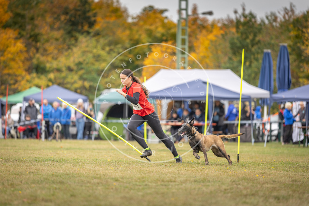 Pfotenfotografie_DV3A5210 | Hundefotografie, Tierfotograf, Pfotenfotografie, Fotoshooting Hund, Hunde Portrait, Hundesport, Hundeportraits, Heideshooting, Hunde, Sportfotograf, Hundefotograf, Turnierhundsport, THS,  - Realisiert mit Pictrs.com