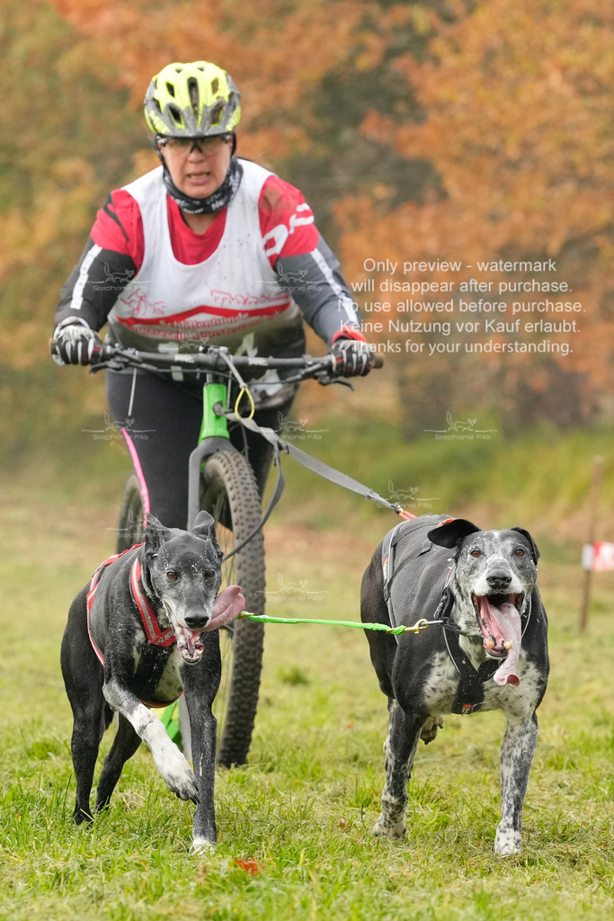 AusschnitteSa-199 | stephaniefillaphotographie - Realisiert mit Pictrs.com