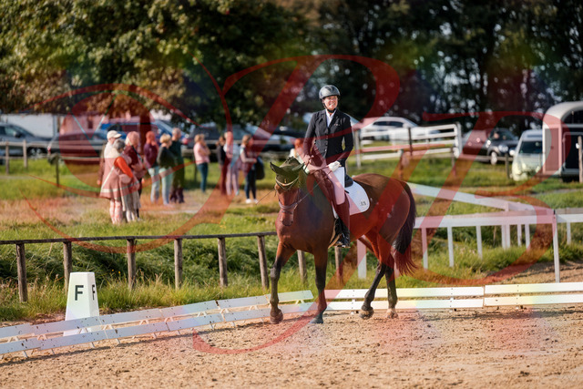 2026_10_03_Siefer-Hof_122707_Z63_48027058 | Professionelle Reitsport-, Turnier- und Eventfotografie von Robert Broda. Galerien mit ausgewählten und bearbeiteten Bildern direkt online ansehen und bestellen.