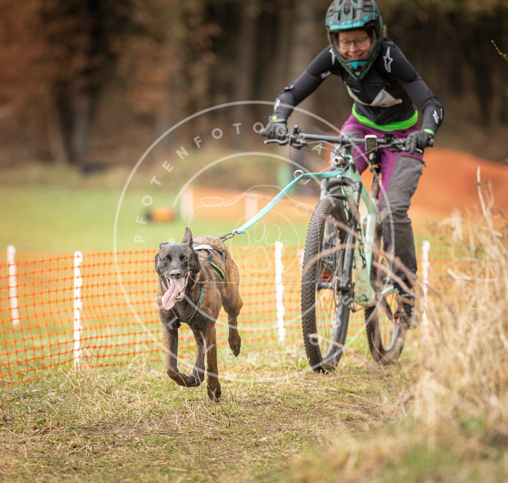 DV3A0998 | Hundefotografie, Tierfotograf, Pfotenfotografie, Fotoshooting Hund, Hunde Portrait, Hundesport, Hundeportraits, Heideshooting, Hunde, Sportfotograf, Hundefotograf, Turnierhundsport, THS,  - Realisiert mit Pictrs.com