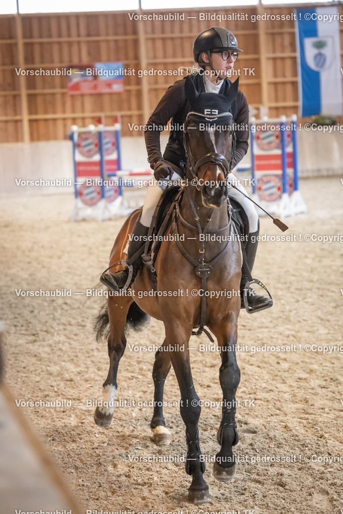 _D5A7765 | Emotionale Pferde- & People-Fotografie rund um Heidelberg, Leimen & Umgebung. Natürliche Fotos von Pferd, Mensch & Familie. Jetzt Termin sichern!