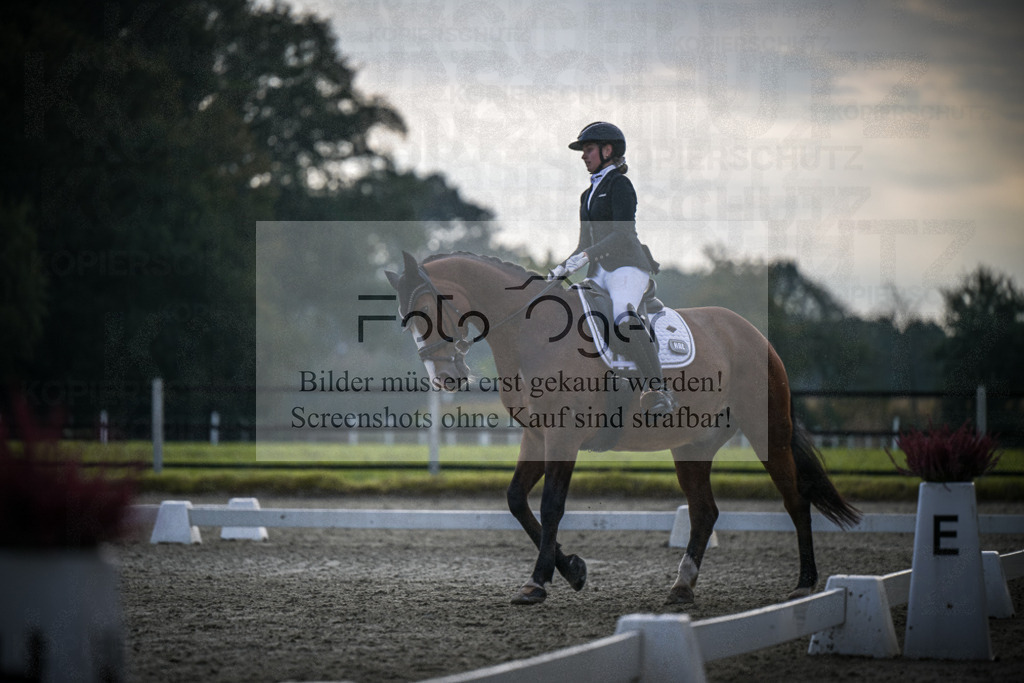 DOS_4176 | Entdecke hochwertige Reitturnierfotos von Foto Oger. Professionell, emotional und authentisch – jetzt Lieblingsmomente im Shop bestellen.Deutschlandweite Turnierfotografie. - Realisiert mit Pictrs.com