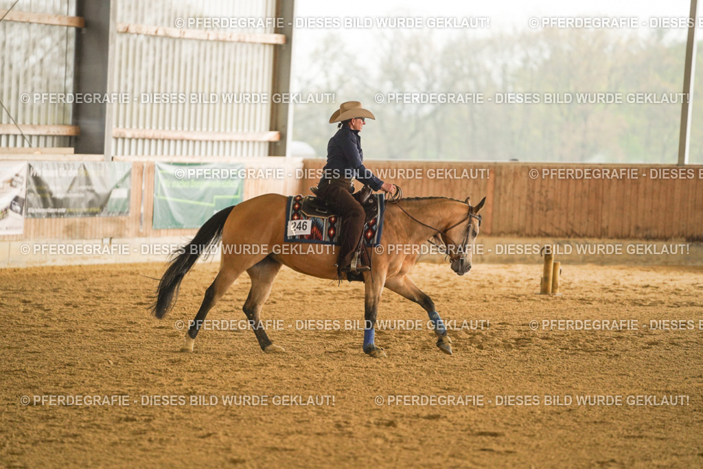 DSC09578 | Pferdegrafie