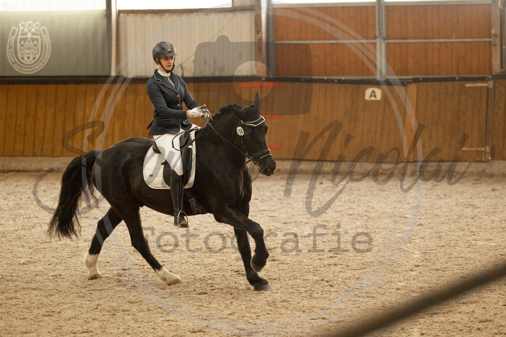 994A3825 | sabrinanicolaifotografie - Realisiert mit Pictrs.com