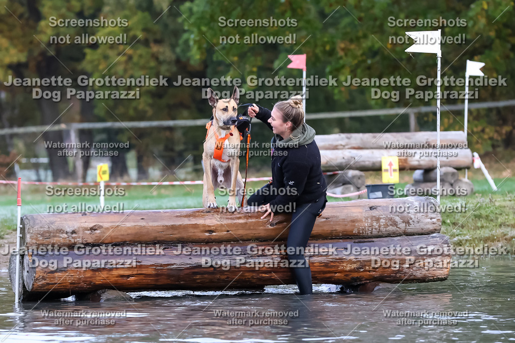 Dog Paparazzi - Strongdog 10-25-6307 | Dog Paparazzi Jeanette Grottendiek Fotografie & Videografie - Realisiert mit Pictrs.com