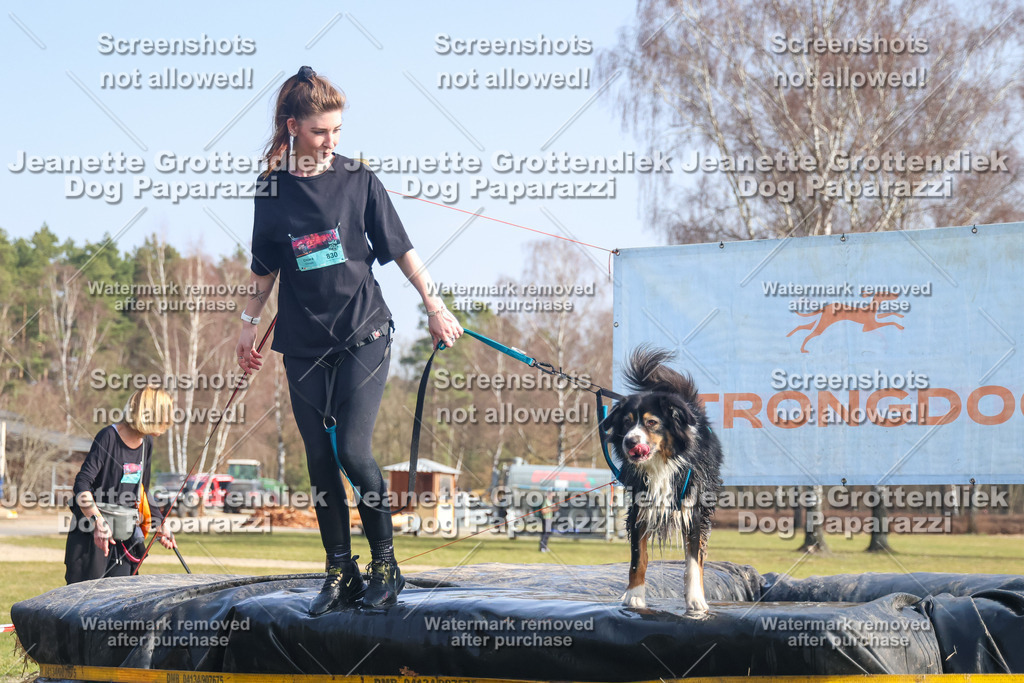 Dog Paparazzi - Strongdog North Mrz26-1798 | Dog Paparazzi Jeanette Grottendiek Fotografie & Videografie - Realisiert mit Pictrs.com