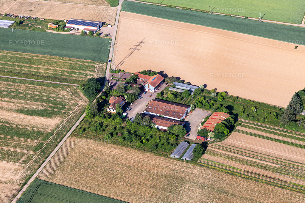 Luftbild: Dorfmarkt Schoßberghof in Minfeld im Bundesland Rheinland-Pfalz in Deutschland. – Foto: IMG_132268.jpg vom 28.05.2022 durch Werner Riehm/FLY-FOTO.de – Auflösung des Originals: 5472 x 3648 px – Schoßberghof - * Dorfmarkt-Schoßberghof * Bio-Hofladen * Minfeld