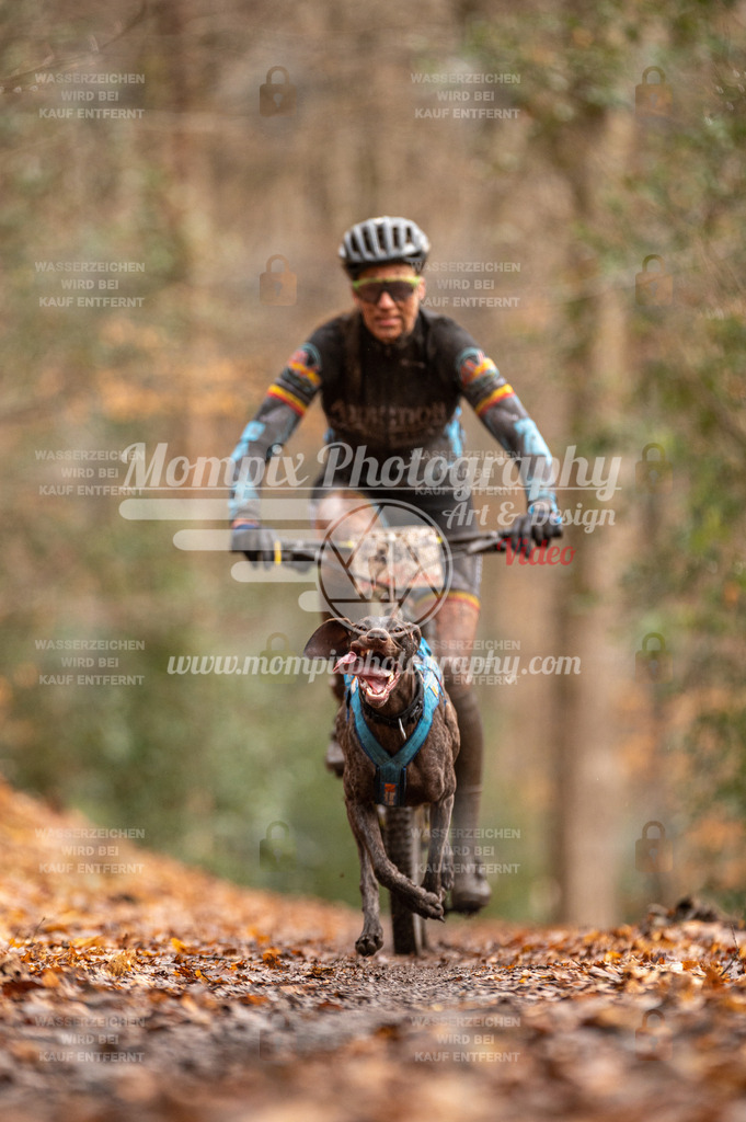 SPA_2023_DIM_Bike-14 | PayLife