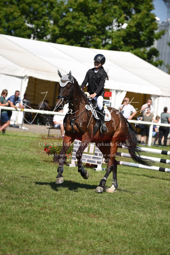 DSC_9444 | Pferde- und Turnierfotografie in Westsachsen. Pferdeportraits, Auftragszeichnungen und intuitive Kunst.
