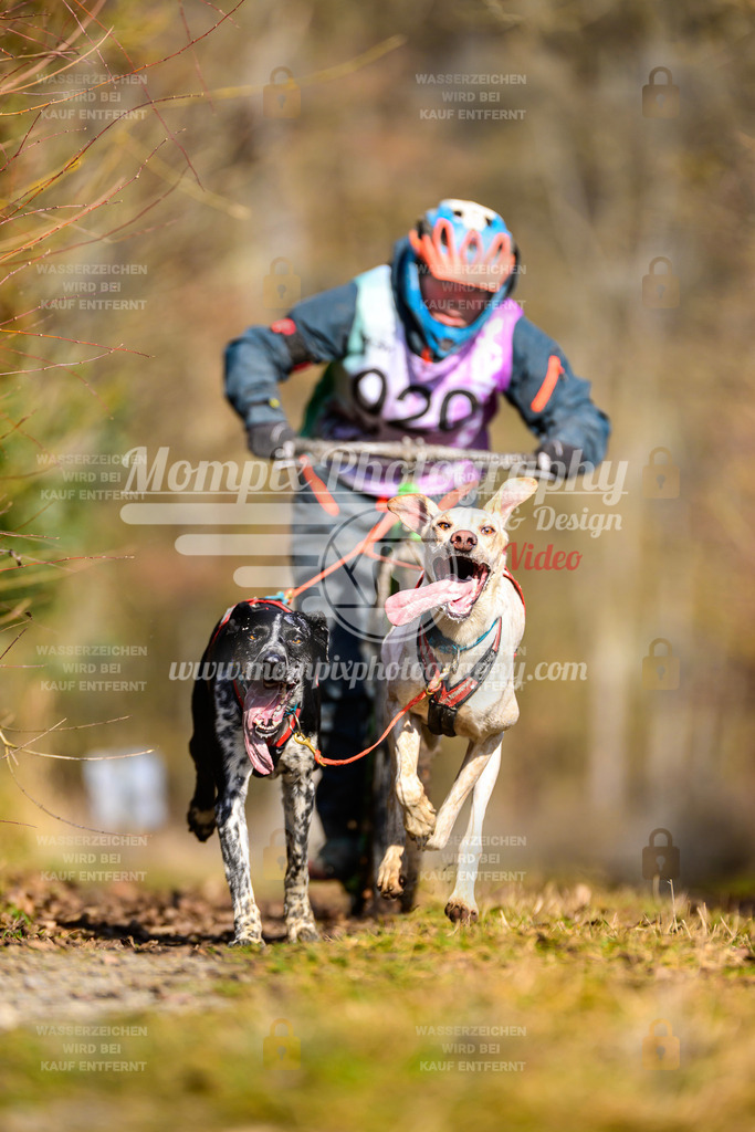 MompixPhotography_Schwabentrail2025_SO_DS2-28 | PayLife