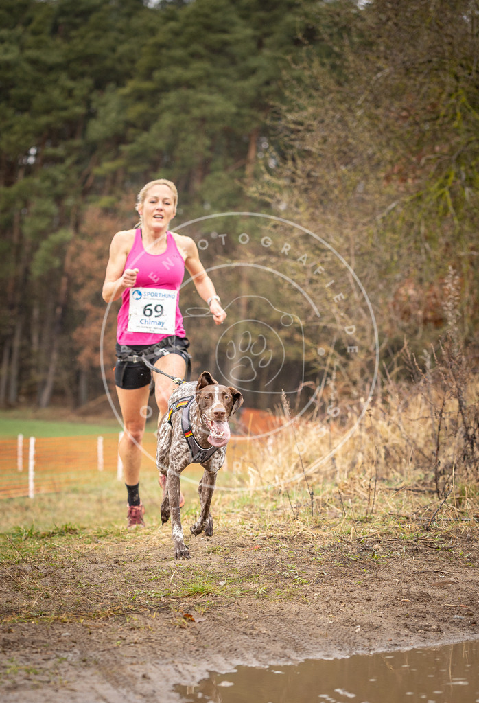 DV3A0128 | Hundefotografie, Tierfotograf, Pfotenfotografie, Fotoshooting Hund, Hunde Portrait, Hundesport, Hundeportraits, Heideshooting, Hunde, Sportfotograf, Hundefotograf, Turnierhundsport, THS,  - Realisiert mit Pictrs.com