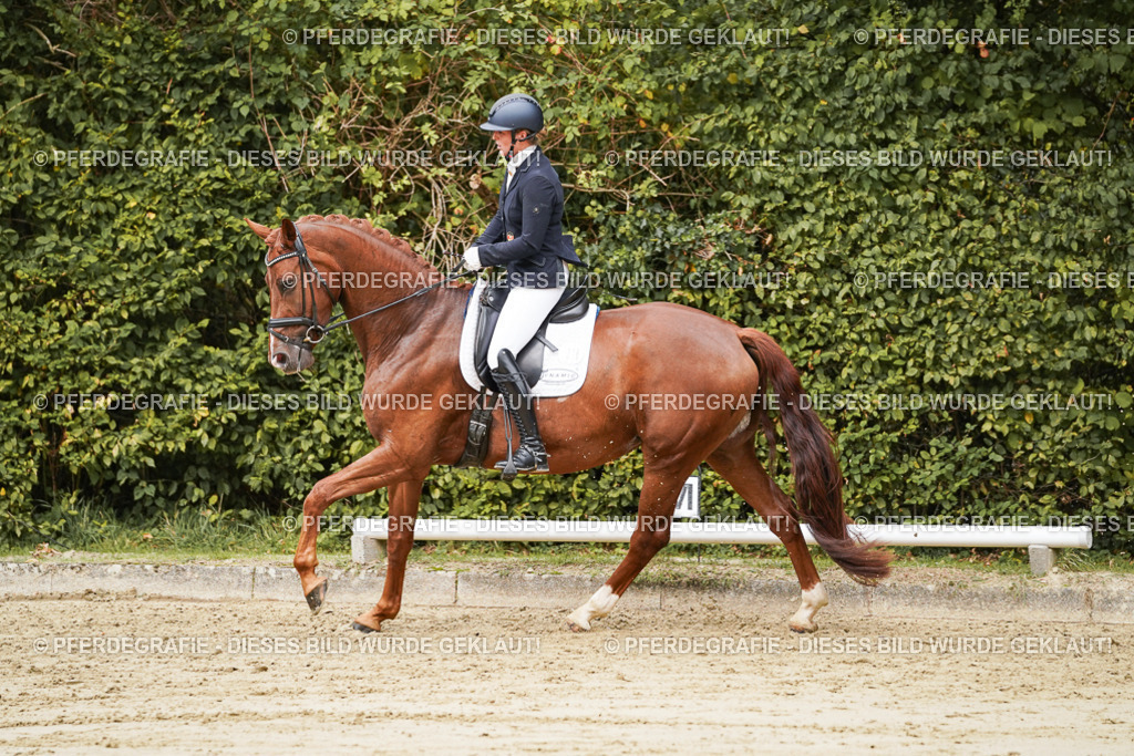 DSC09430 | Pferdegrafie