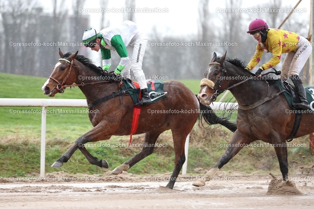 Do22122403001 | Mist Of Lir siegt unter Sean Byrne am 22.12.2024 Renntag in Dortmund. Copyright by Marc Ruehl - Veroeffentlichung nur gegen Honorar (zzgl.MwSt), Namensnennung und Beleg, Bank Routing Number: BIC GENODED1PAF, Bank Account Number: IBAN DE04 3706 2600 1201 6180 17, Steuer-Nr.: 203/5266/0306, Ust_Id_Nr.: De 122081417, Zur Gaulshuette 29, 50181 Bedburg, Phone: +49-(0)2272-83351, www.marcruehl.com, info@marcruehl.com, No Model Release, Abtretung von Persoenlichkeitsrechten der abgebildeten Person/Personen liegen nicht vor. Speichern in Bilddatenbanken oder Vervielfaeltigung ist ohne schriftliche Genehmigung nicht gestattet.