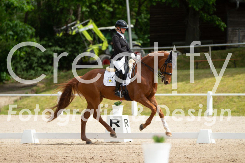 IMG_6823 | Creatify Fotografie