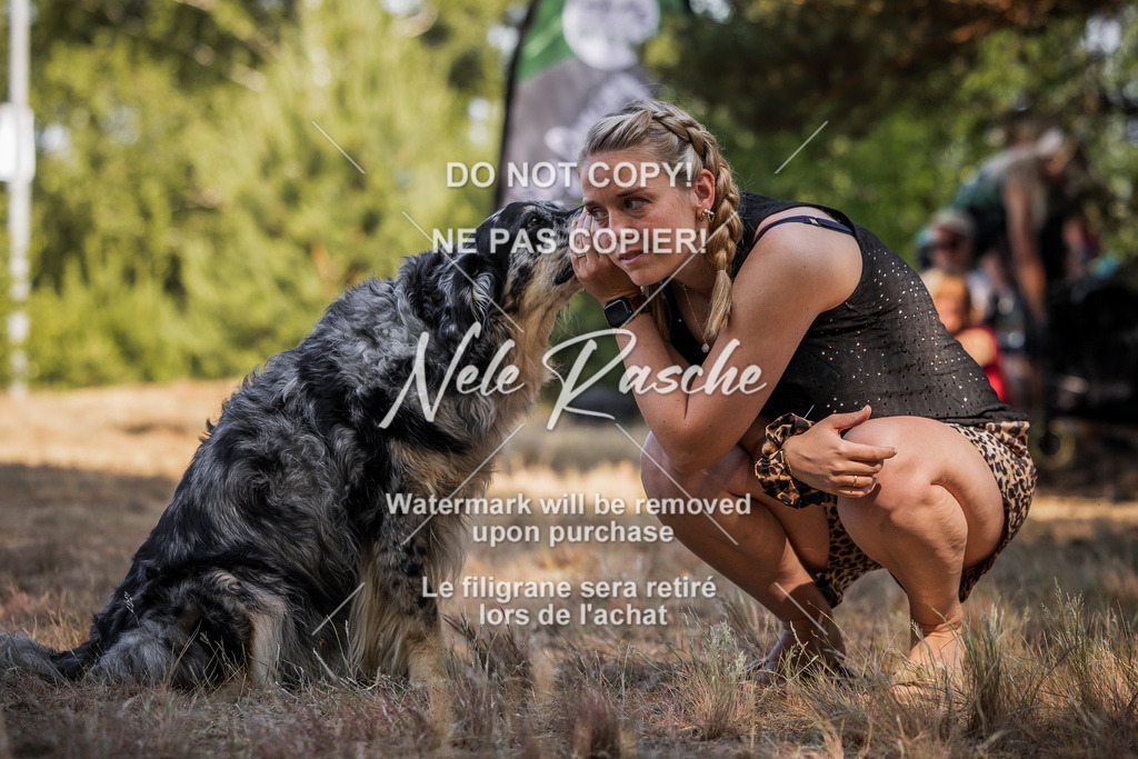 nelerasche_soDD1_299 | nelerasche
