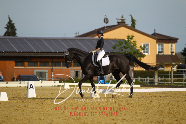 DKP43417 | Turniersportfotografie; Pferdefotografie; Dressurfotografie