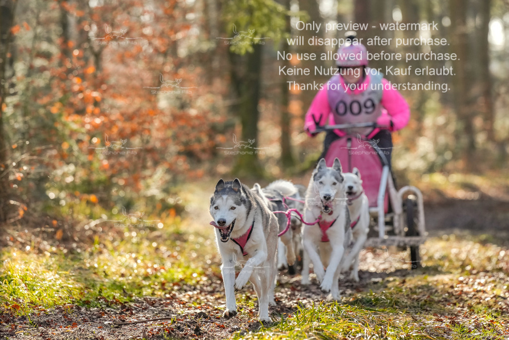 So_Gespanne-23 | stephaniefillaphotographie - Realisiert mit Pictrs.com