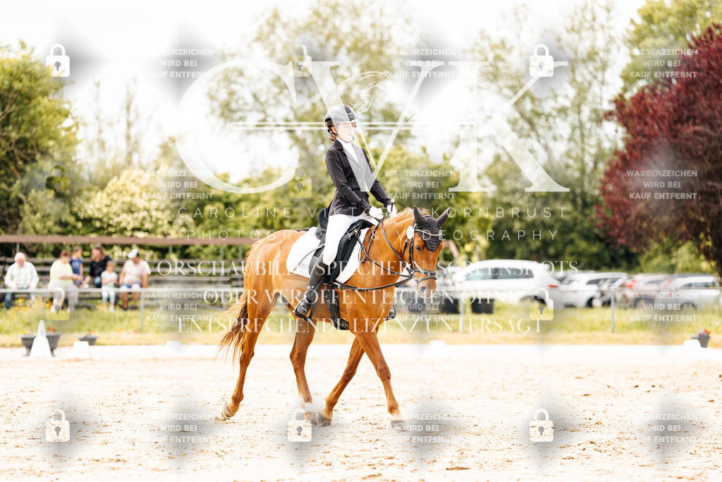 CK902928 | Turnierfotografie Pferdefotografie Trier Rheinland-Pfalz Pferdesport Reitsport Tierfotografie Sportfotografie Pferdevideo Pferdevideografie Equestrianvideography equestrianphotography  - Realisiert mit Pictrs.com