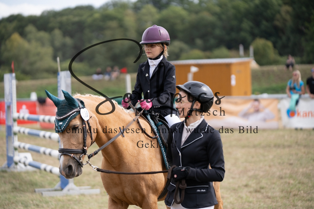 A7V08888 | Pferdefotograf