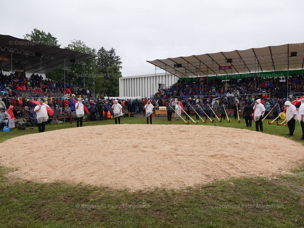 DSC07977 | Schwingen - Realisiert mit Pictrs.com